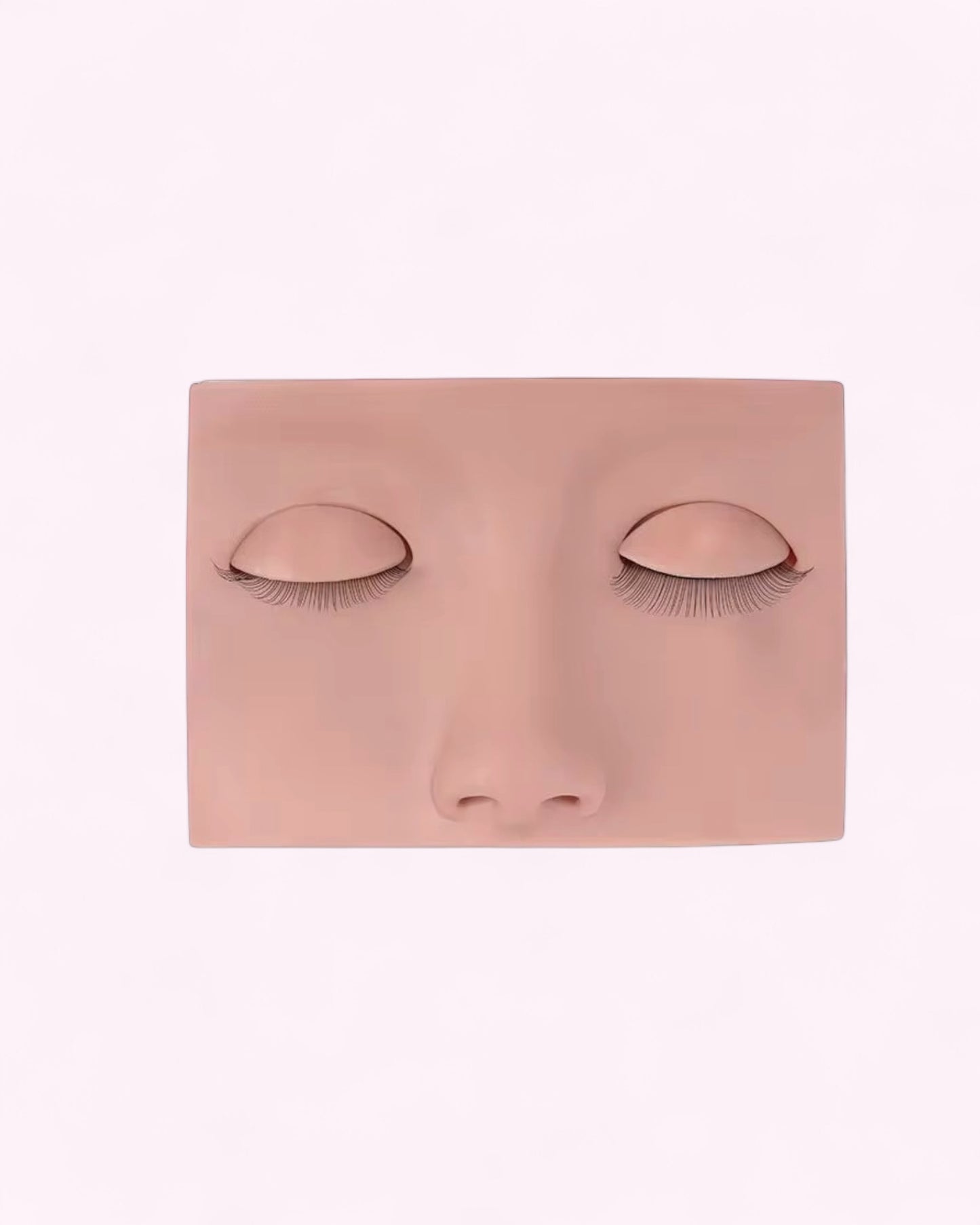 Reusable Mannequin Head